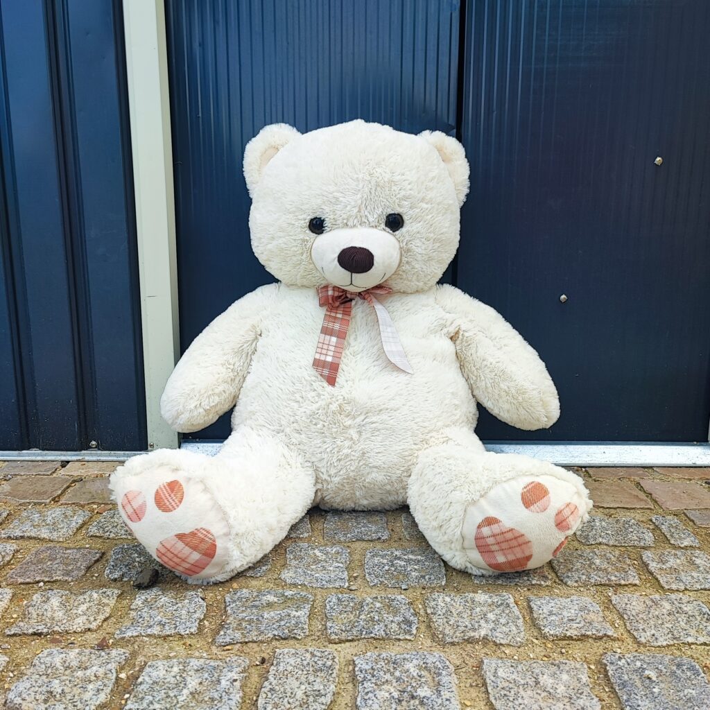 Ourson en peluche