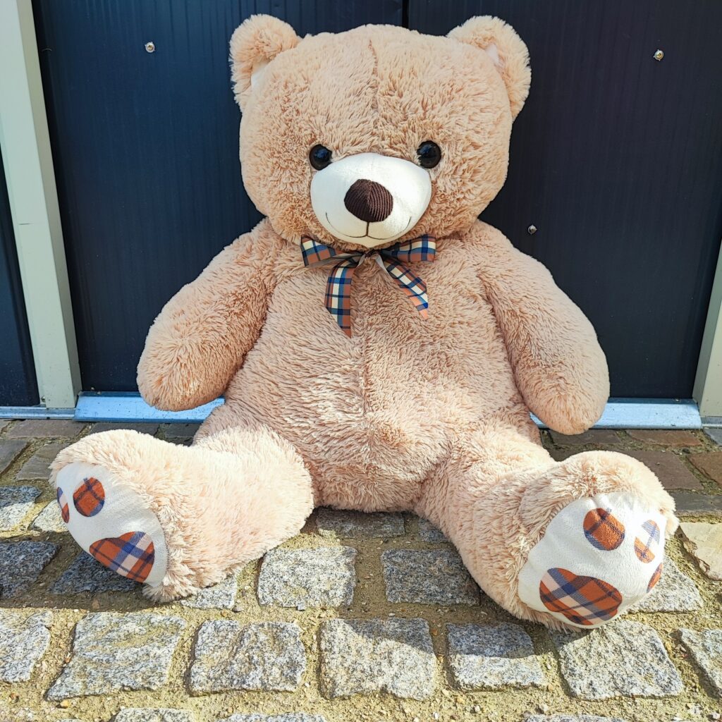 Ourson en peluche